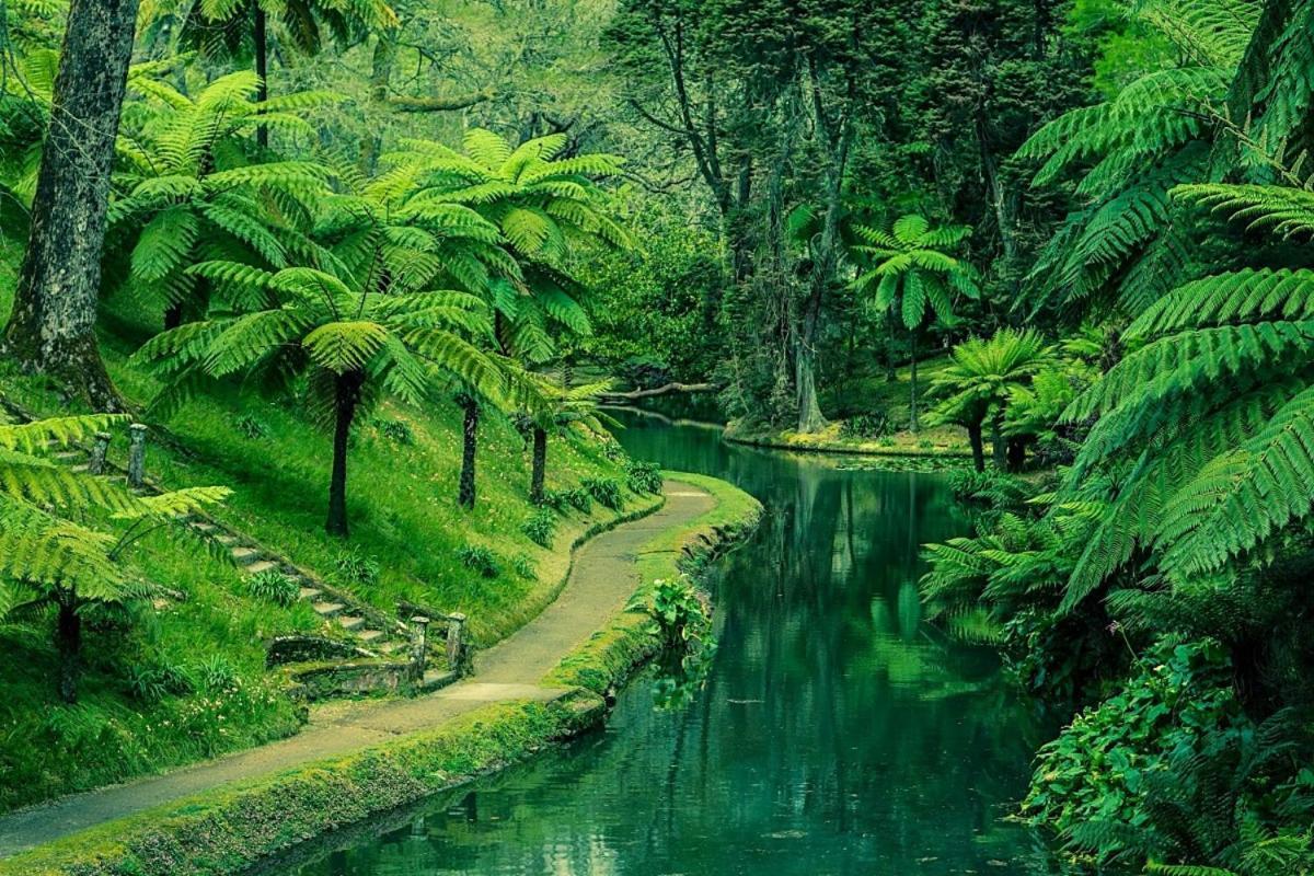 Furnas Nest Βίλα Εξωτερικό φωτογραφία